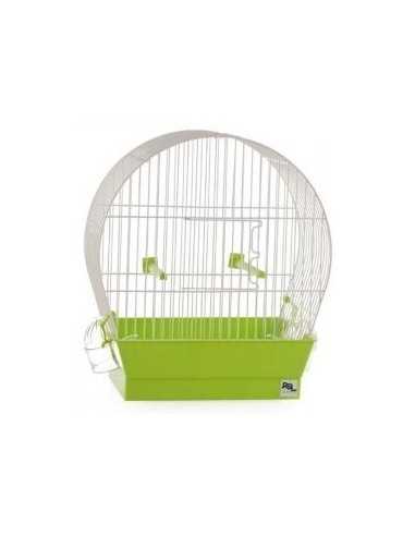 Arcuately bird cage with vertical wire