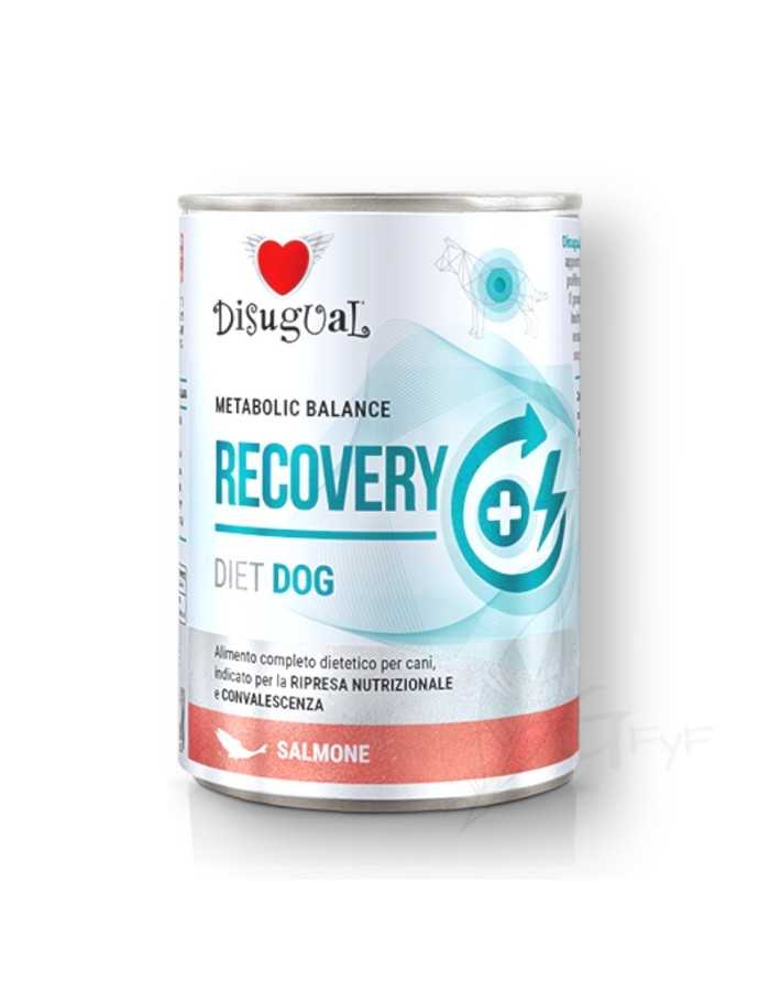 Metabolic Balance RECOVERY Lachs Disugual